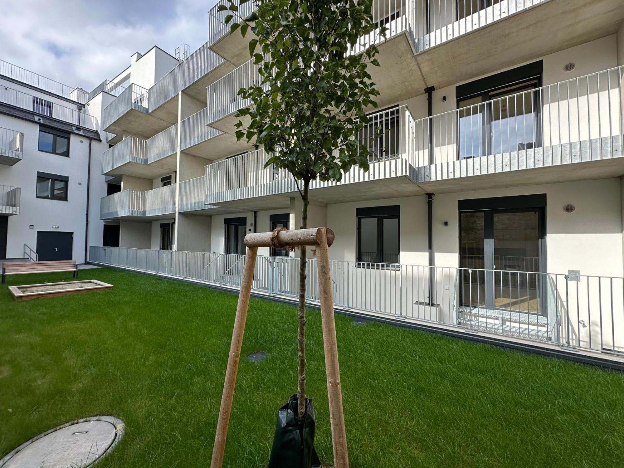 Schoenbrunn Garden Apartments Wien Eksteriør bilde